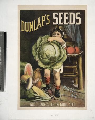 Dunlap's seeds : Nashua, N.H. : Good harvest from good seed
