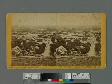 Part of Los Angeles from Franklin St. hill