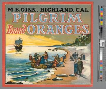 Pilgrim Brand Oranges