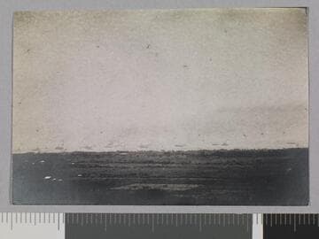 Veracruz, battleships