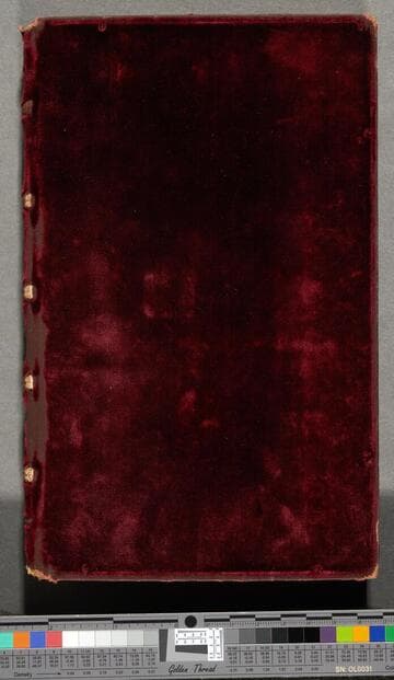 Book of Hours, use of Rome : [manuscript]