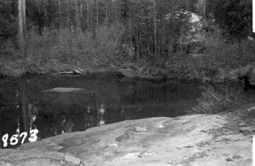 Big Creek, Fish Valley