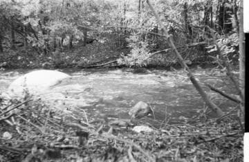 Santa Ana River #1 Powerhouse - Bear Creek above S.A.R. #1 Intake