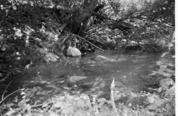 Santa Ana River #1 Powerhouse - Santa Ana River above #1 Intake