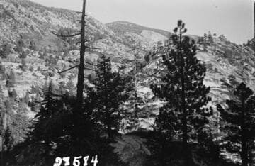 Big Creek, Fish Valley