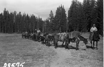 Big Creek, Fish Valley - Spring Meadow