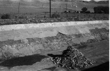 Borel Powerhouse - Borel Canal - Seepage Mills Case