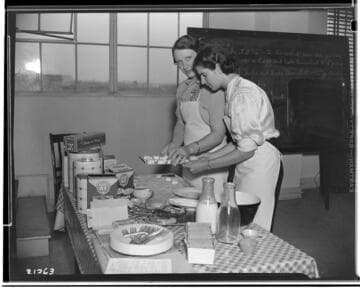 A3.1 - Appliances miscellaneous - Westinghouse Roaster School