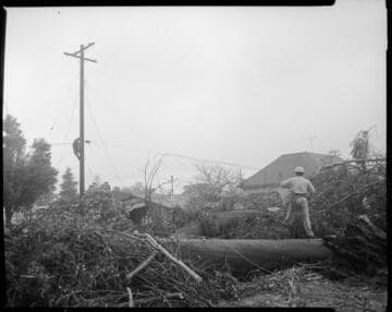 Transmission & Distribution wind damage repairs