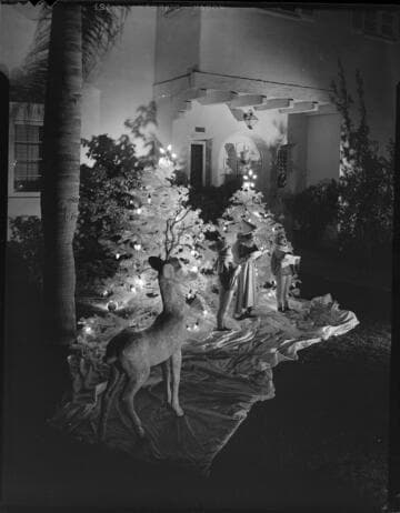 Outdoor residential Christmas decorating