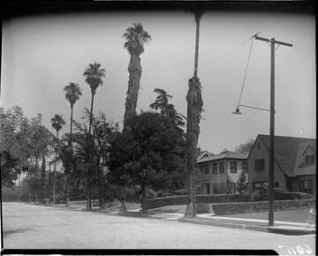 Street lighting in a residential area during the day
