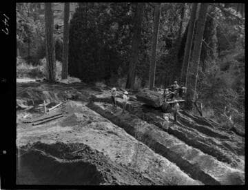 Big Creek - Mammoth Pool - Installation of leaching line - trailer court