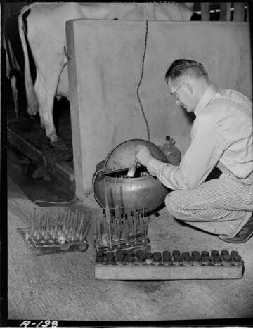 Dairy Booklet photos