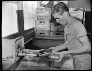 Dairy Booklet photos