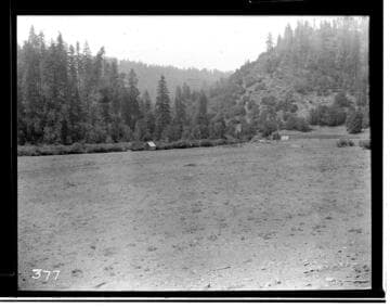 Open field with shed at edge