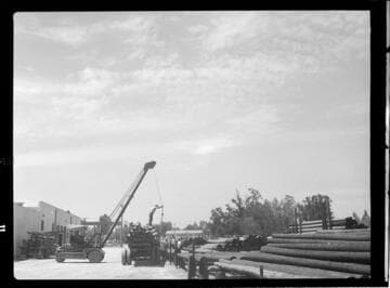 Loading poles on trucks at CEP Pole Yard