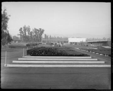 General Service Center, Rialto
