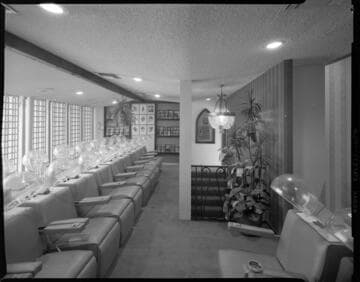 Lee Horton Hair Stylist