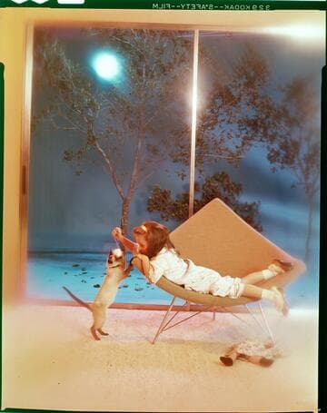 Little girl at home playing with dolls and Siamese kitten