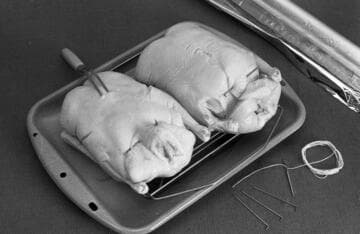 Presentation of food prepared