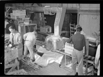 Packing lettuce with ice