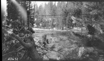 Pitman Creek below Tamarack Creek showing cable section control