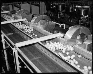 Lemon Exchange -- fruit sorting equipment