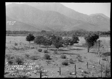 Borel : Sumner Ranch