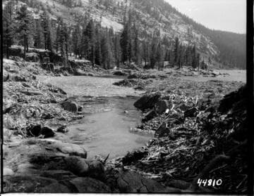 Big Creek, Vermilion Dam - First of four pictures showing debris deposited along shoreline at upper end of lake, due to recent drawdown Mono Creek where it enters lake at present water elevation