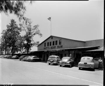 Knott's Berry Farm restaurant