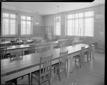 Domestic, Schools Promotion