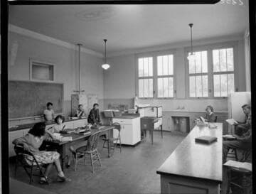 Domestic, Schools Promotion