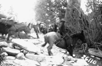 Bear Creek High Lakes