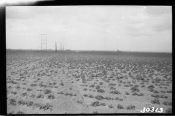 Vincent Transmission Line