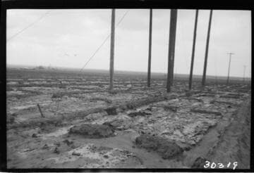 Vincent Transmission Line (2nd) - South side, Tower 13-3