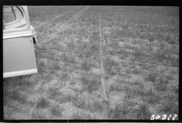 Vincent Transmission Line