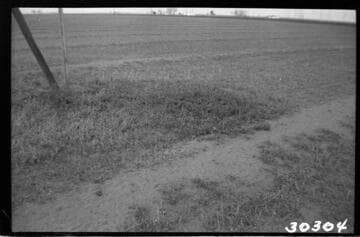 Vincent Transmission Line - Across road N-11-3