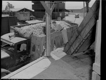 Exchange Orange Products Co