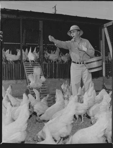 H. M. Barbour