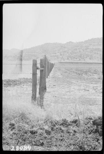 Springville Substation