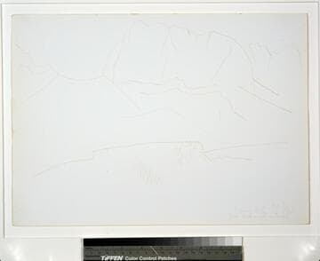 Mountain Landscape with Trees