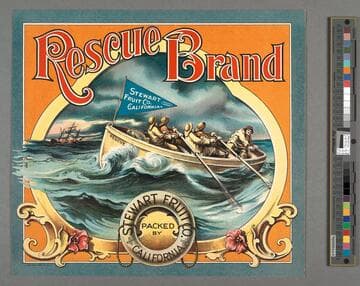 Rescue Brand