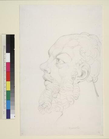 Socrates