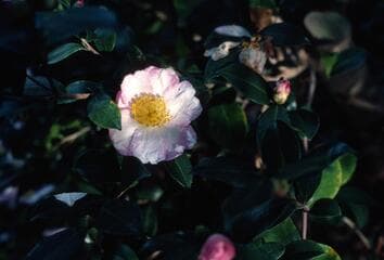 Go to image 3.