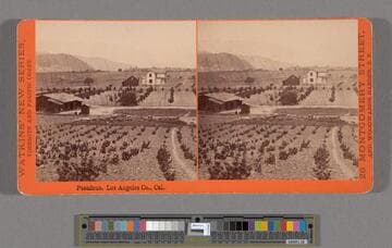 Pasadena, Los Angeles Co., Cal