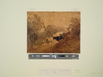 Cows Going Down to a Pool