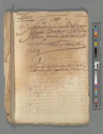 Genealogical information on Francisco de Amaya