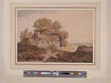 Cottage in the Trees