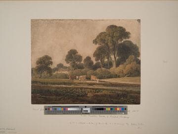 Landscape with Cattle