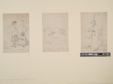 Man Leaning on a Fence